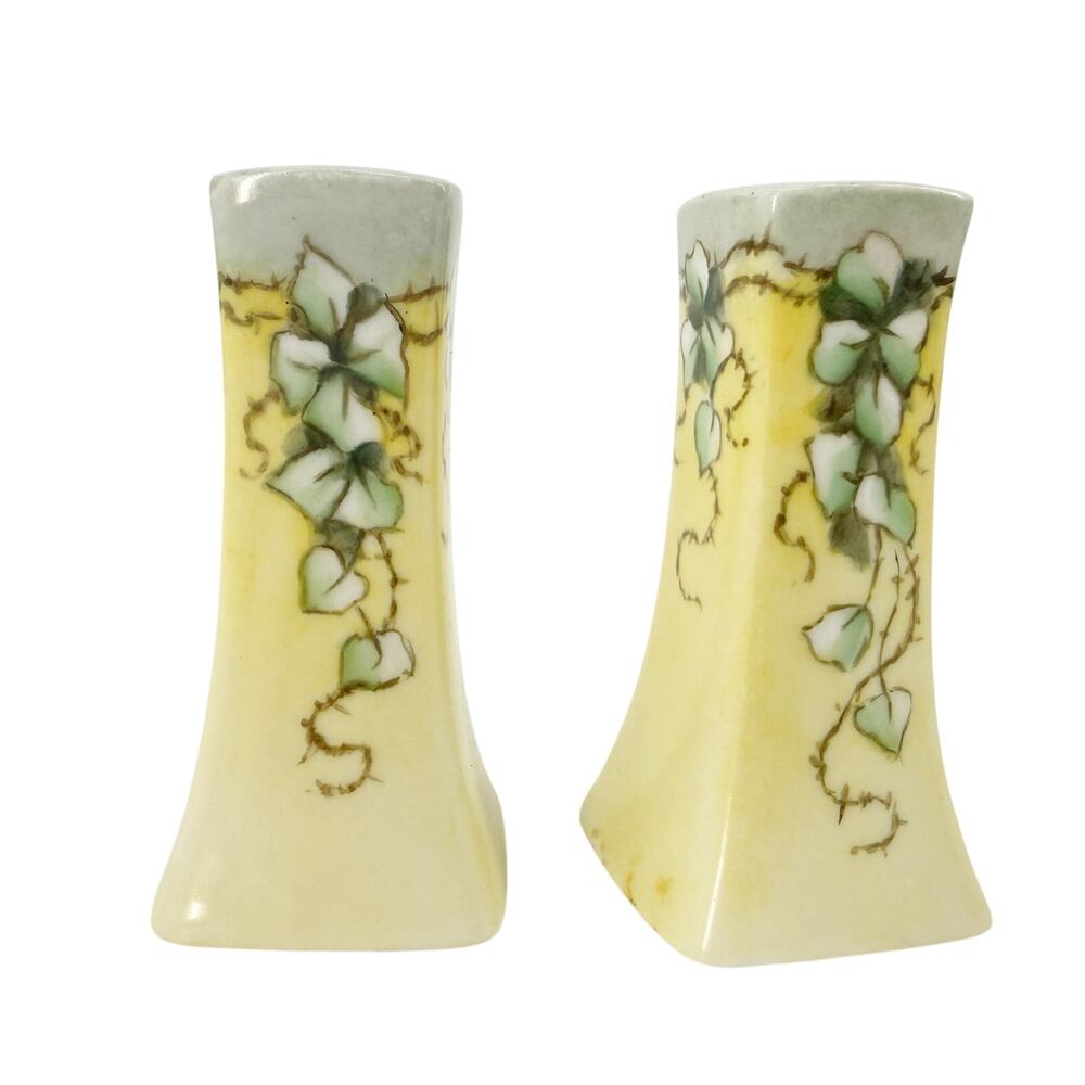 vintage yellow & pale blue green ivy Salt & Pepper Shakers Bavaria kitchenware